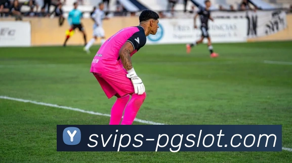 PG电子官网全站App